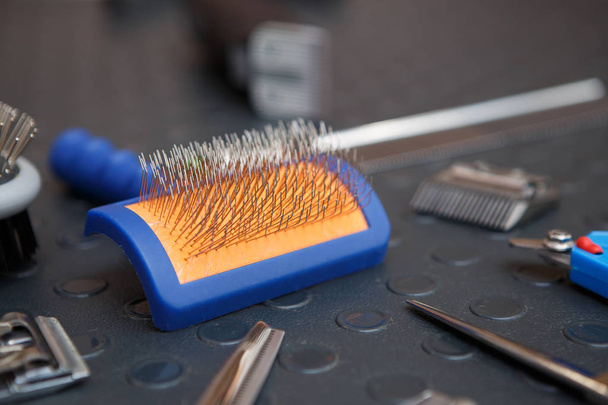 Professional groomer comb for pets in grooming studio. Take care of your dogs and cats, shave fur in vet clinic for health and hygiene - Photo, Image