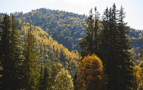 Beautiful mountain landscape in autumn. Instagram vintage film filter - Foto, imagen