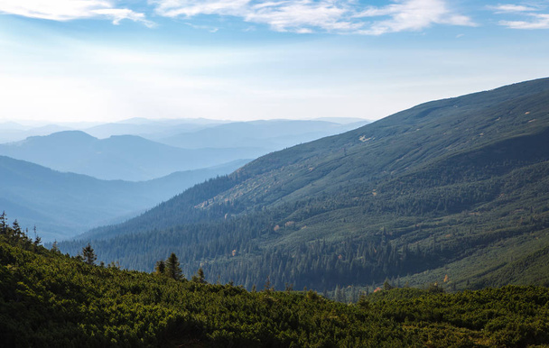 Beautiful Carpathian mountains in autumn season - Zdjęcie, obraz