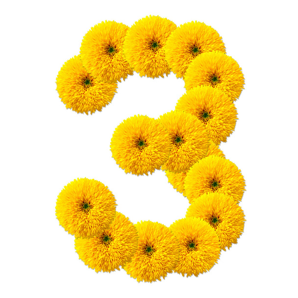decimal cipher of flowers - Foto, imagen