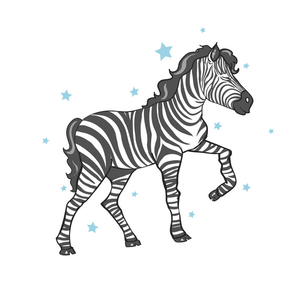 cute zebra vector illustration - Vektori, kuva