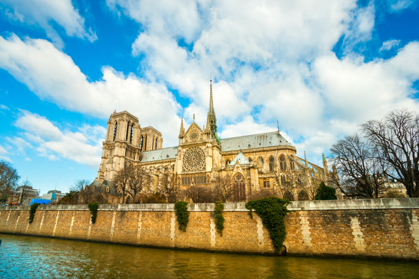 Notre Dame de Paris, Francie. - Fotografie, Obrázek