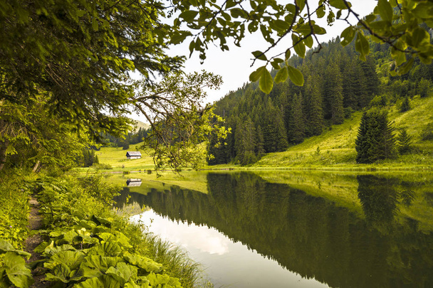 Soirée d'été au lac Morgins, Alpes, Suisse
  - Photo, image