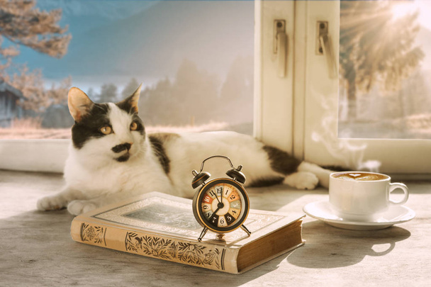 Una sveglia, una tazza di caffè, un libro e un gatto bianco e nero davanti alla finestra
. - Foto, immagini