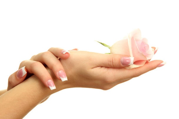 Beautiful woman hands with rose, isolated on white - Fotó, kép