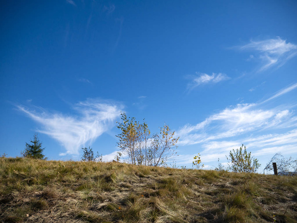 die bergige Herbstlandschaft mit bunten Wäldern und blauem Himmel - Foto, Bild