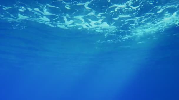 Csillogó fény kék víz a fodrozódó felszín világos és átlátható celeste tengervíz Egyiptom csodálatos kilátással a Vörös-tengeren sugárzó foltok, a Vörös tenger, Egyiptom. A háttérben csodálatos. - Felvétel, videó