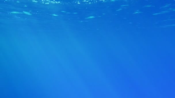Sanki diğer tarafı görülebilen ışık mavi su ile Mısır'daki Kızıl Deniz parlayan bir yüzey ile Kızıldeniz temiz ve kristal celeste deniz suları Mısır etkileyici görünümünde parlak bir yüzey. Sanat konusunda hava atan zemin gibi görünüyor. - Video, Çekim