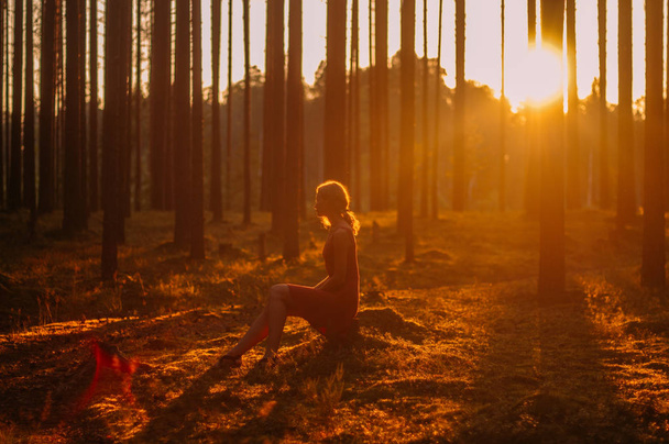 森の夕べの切り株に座っている若い女の子 - 写真・画像