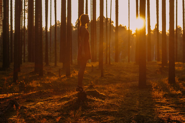 Nuori tyttö pysyy kanto illalla metsässä
 - Valokuva, kuva