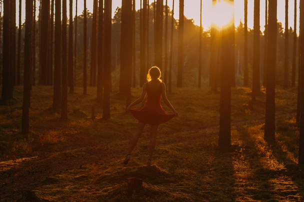Молода дівчина в червоній сукні залишається на одній нозі на пеньку в вечірньому лісі
 - Фото, зображення