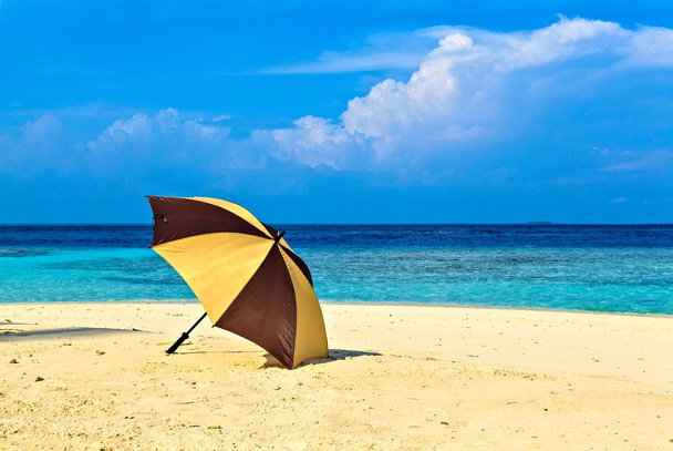 Paraguas abierto
 - Foto, imagen