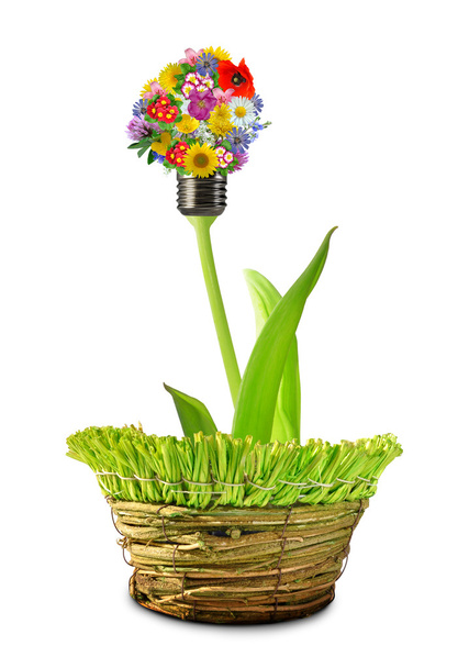 花から電球 - 写真・画像