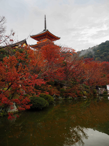 Κιότο, Ιαπωνία φθινόπωρο στο Ναός Κιγιομιζού - Φωτογραφία, εικόνα