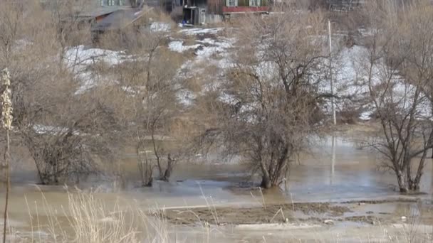 jarní sníh tající na řece, v dubnu - Záběry, video