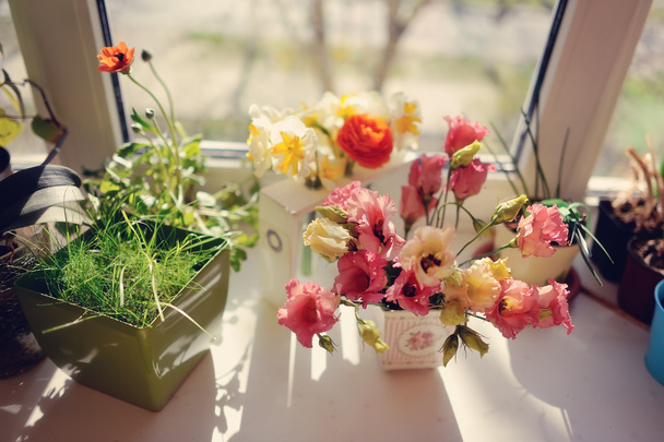 flowers on the windowsill - Foto, imagen