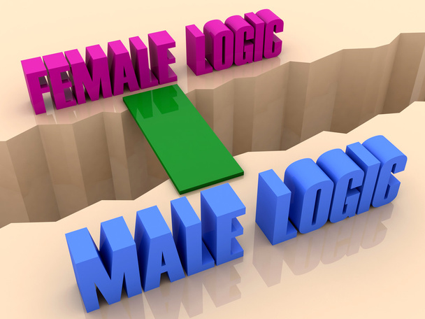 Kaksi lausetta FEMALE LOGIC ja MALE LOGIC yhdistettynä sillan kautta erottaminen halki. Konsepti 3D-kuva
. - Valokuva, kuva