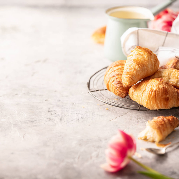 Πρωινός καφές, κρουασάν και ανοιξιάτικες τουλίπες σε ανοιχτό γκρι φόντο, πρωινό έννοια - Φωτογραφία, εικόνα