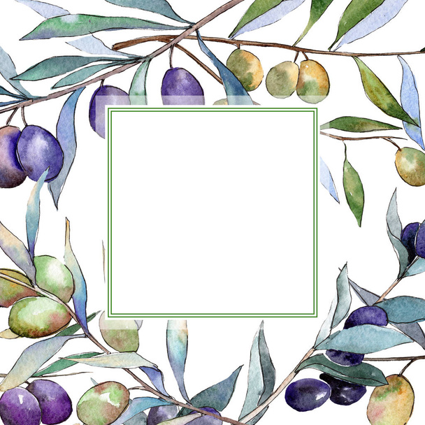 Green and black olives. Watercolor background illustration set. Frame border ornament square. - Foto, afbeelding