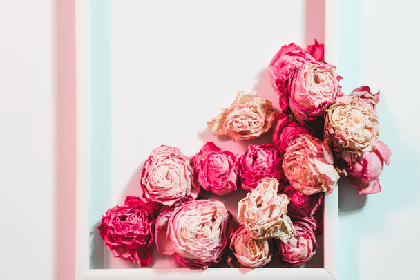 flower composition floristry dry rose arrangement - Foto, immagini