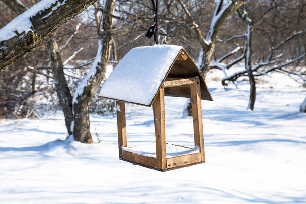 scatola di nidificazione o mangiatoia nel parco innevato invernale
 - Foto, immagini