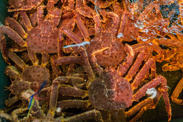 Crabe japonais frais, Crabe royal d'Hokkaido, Japon, Crabe rouge frais
 - Photo, image