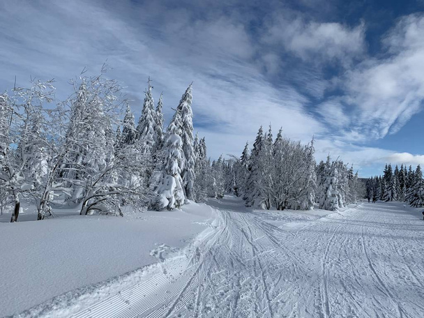 Winter landscape with a modified cross-country ski trails in Krkonose mountains, Czech Republic. - Photo, Image