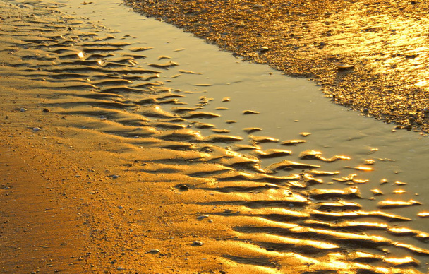Sand beach surface texture in the natural light of the sunrise - Photo, Image
