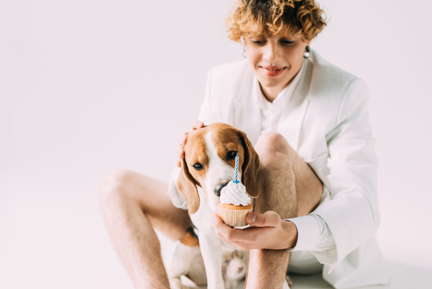 selective focus of cute beagle dog eating cupcake in hand of handsome man isolated on grey - Fotoğraf, Görsel