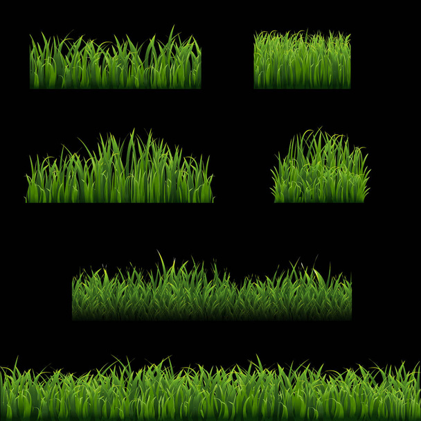 Zestaw zielony trawa graniczy z miejsca kopii  - Wektor, obraz