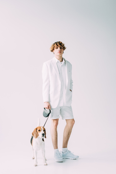 yakışıklı adam holding tasma ile beagle köpek gri arka plan üzerinde dururken - Fotoğraf, Görsel