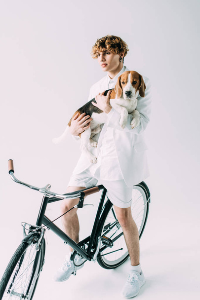 bell'uomo con i capelli ricci che tiene in braccio il cane beagle mentre è seduto sulla bici su sfondo grigio
 - Foto, immagini