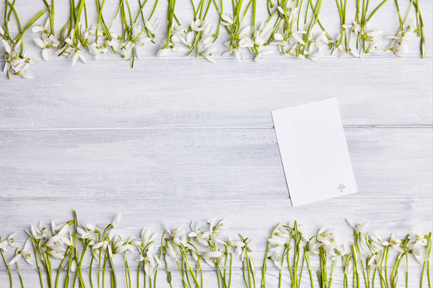 スノー ドロップ フレームと木製の背景。グリーティング カード。スペース fot テキスト。最初のフォレストの花。春のコンセプト - 写真・画像
