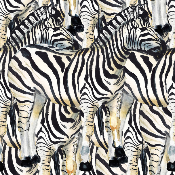 Seamless pattern with zebra - Valokuva, kuva