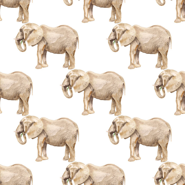 Seamless pattern with elephant - Foto, immagini