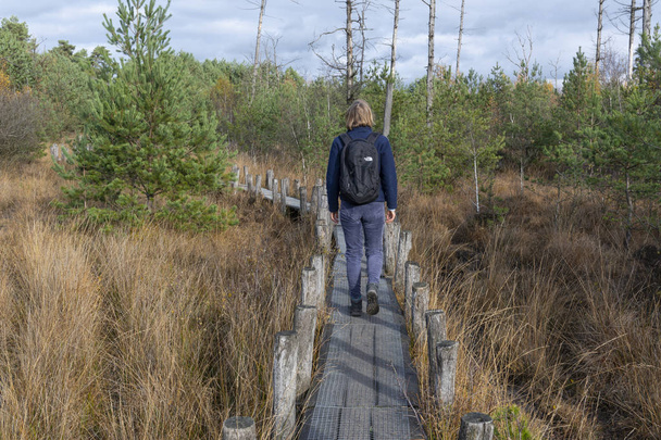Dwingelderveld, Paesi Bassi - 11 novembre 2018: Piccolo sentiero con escursionista in autunno con alberi morti nel Parco Nazionale Dwingelderveld nella provincia di Drenthe, Paesi Bassi
. - Foto, immagini