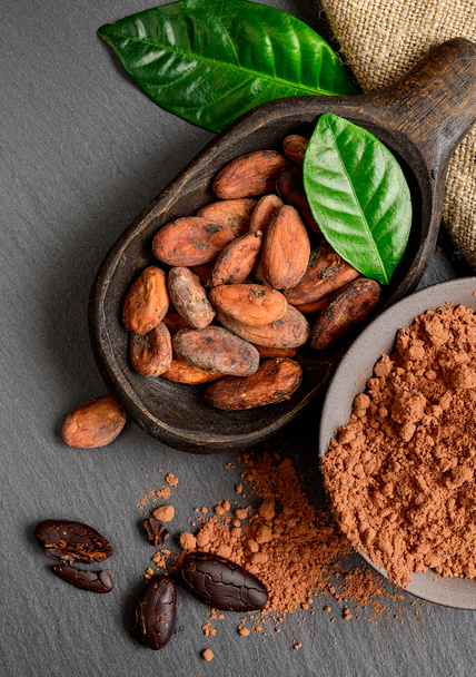 Cocoa beans and powder in wooden bowl with green leaves - Photo, Image