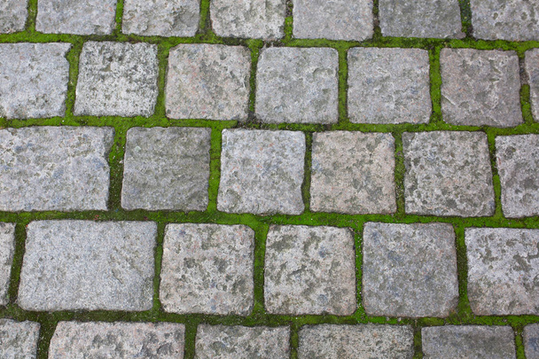 Antiguas piedras pavimentadas con hierba en la zona histórica de Praga. Primer plano de tiro
 - Foto, Imagen