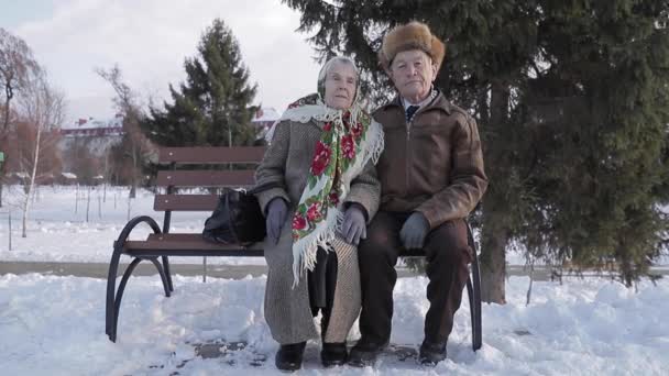 Senior mensen zit op de benck in het park. Gelukkig bejaarde echtpaar tijd buiten in de winter - Video