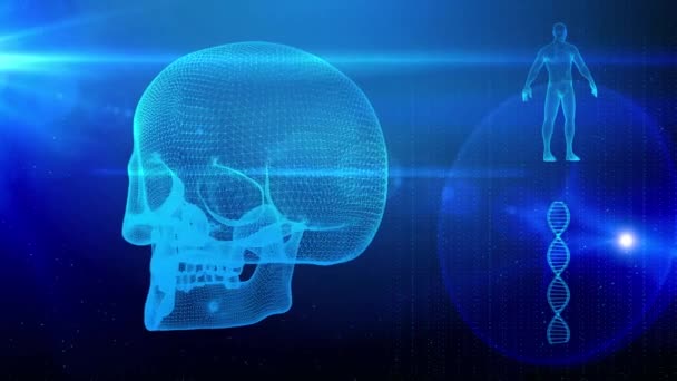 Antecedentes médicos con hebra de ADN cráneo y cuerpo humano
 - Imágenes, Vídeo
