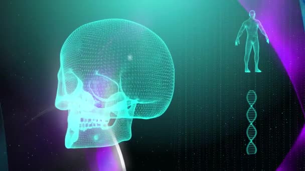 Dna 鎖の頭蓋骨と人体医学的背景 - 映像、動画