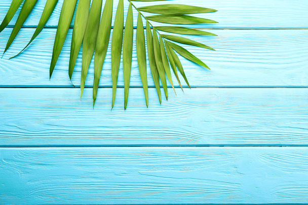 Top view of big green leaf of a exotic parlor palm on blue wooden texture table background with copy space for text. Minimalistic flat lay composition with arge branch of tropical plant. Close up. - Фото, зображення