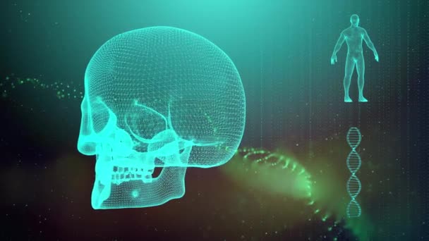 Medische achtergrond met Dna strand schedel en menselijk lichaam - Video