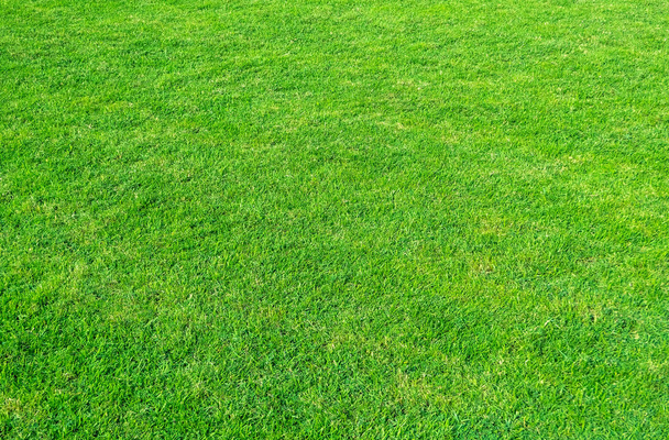Fond de champ d'herbe verte. Modèle et texture d'herbe verte. Fond de pelouse verte
.  - Photo, image
