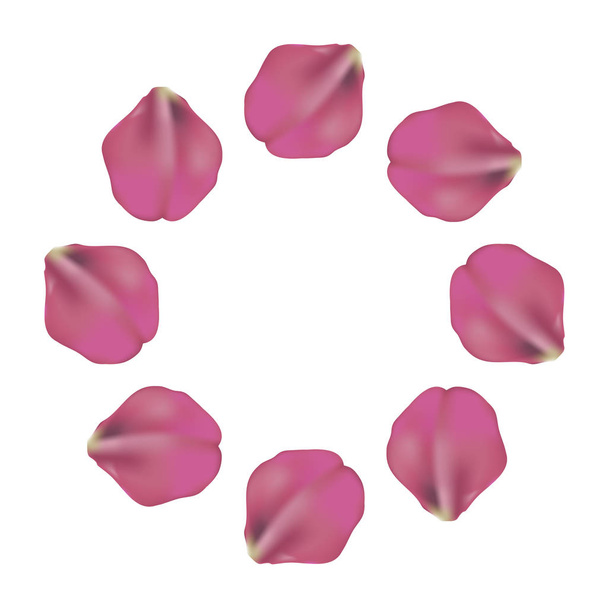 mooie roze bloemblaadjes cirkel patroon op witte achtergrond, vectorillustratie. Ontwerp voor 14 februari bruiloft, verjaardag - Vector, afbeelding