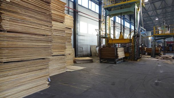 Geschäft für die Herstellung von Sperrholz. Verarbeitung von Geschäftsholz. Holzverarbeitende Industrie - Foto, Bild
