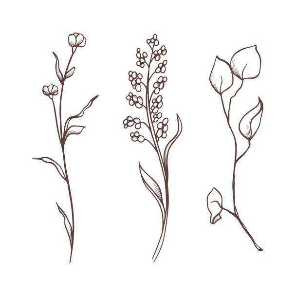 Vector floral collection. Hand drawn set Flowers and leaves. Blooming composition. - Vektor, Bild