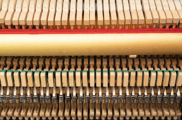 Крупный план молотков и струн внутри фортепиано
. - Фото, изображение