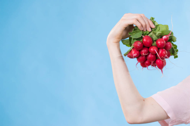 Woman hand holding red delicious raddish vegetable on blue. - Foto, Imagen