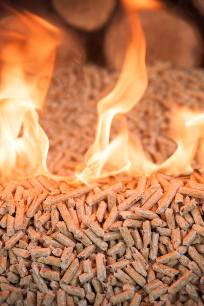 Палаючі дубові гранули - дерев'яна біомаса в полум'ї
 - Фото, зображення